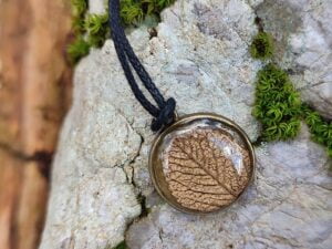 Obesek z listom vrtnce na skali z mahom.